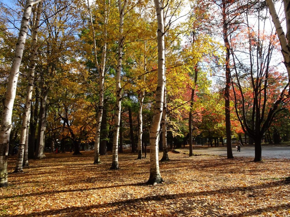圓山公園