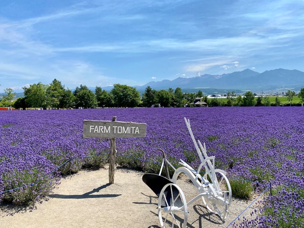富田花園農場